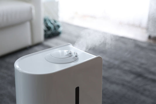 Why Does My House Feel So Dry in Winter, Even With a Humidifier?