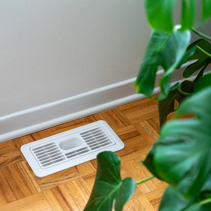 EverVent prevents houseplants from drying out