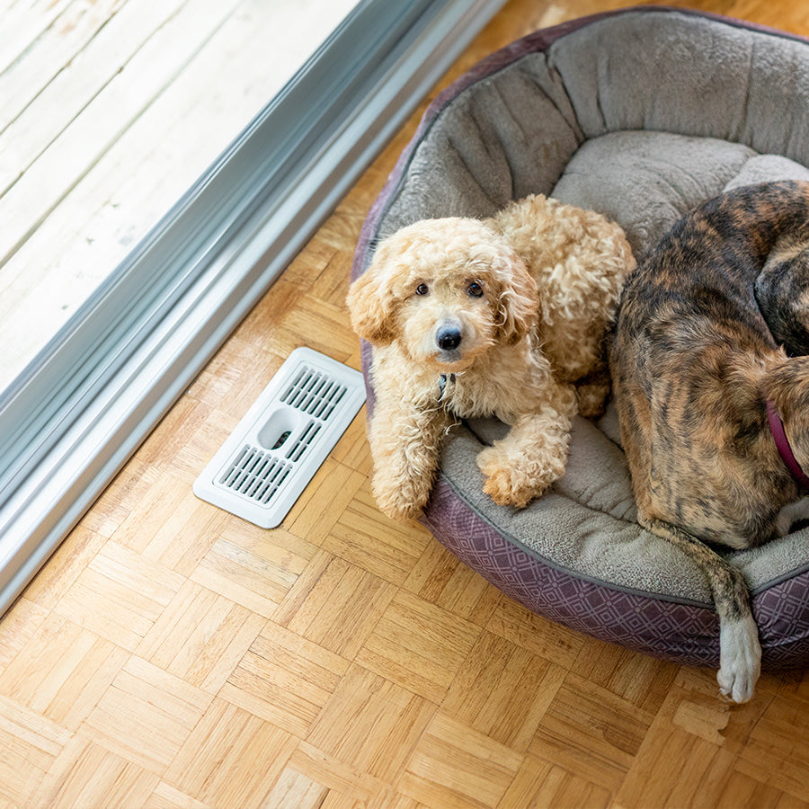 EverVent catches pet hair and dust